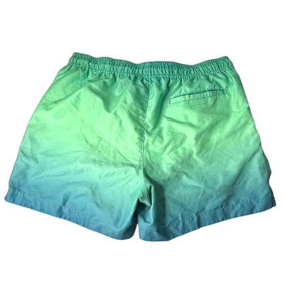 Playboy by Pacsun Swim Trunks Ombre Green Blue Size Large - Picture 4 of 7